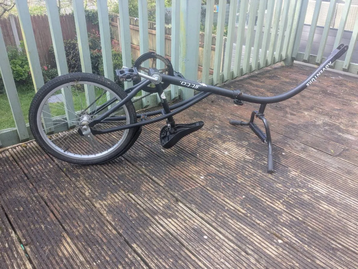 Tag along bike - Image 1