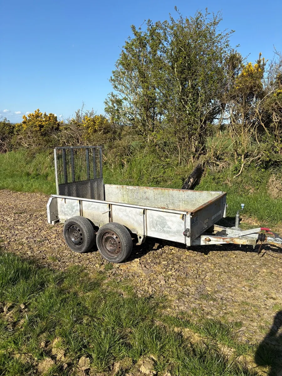 8x4 iforwilliams builders trailer - Image 2