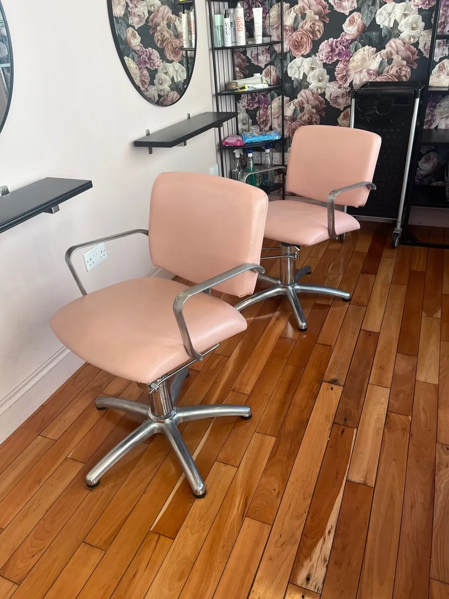 Salon furniture - Image 2