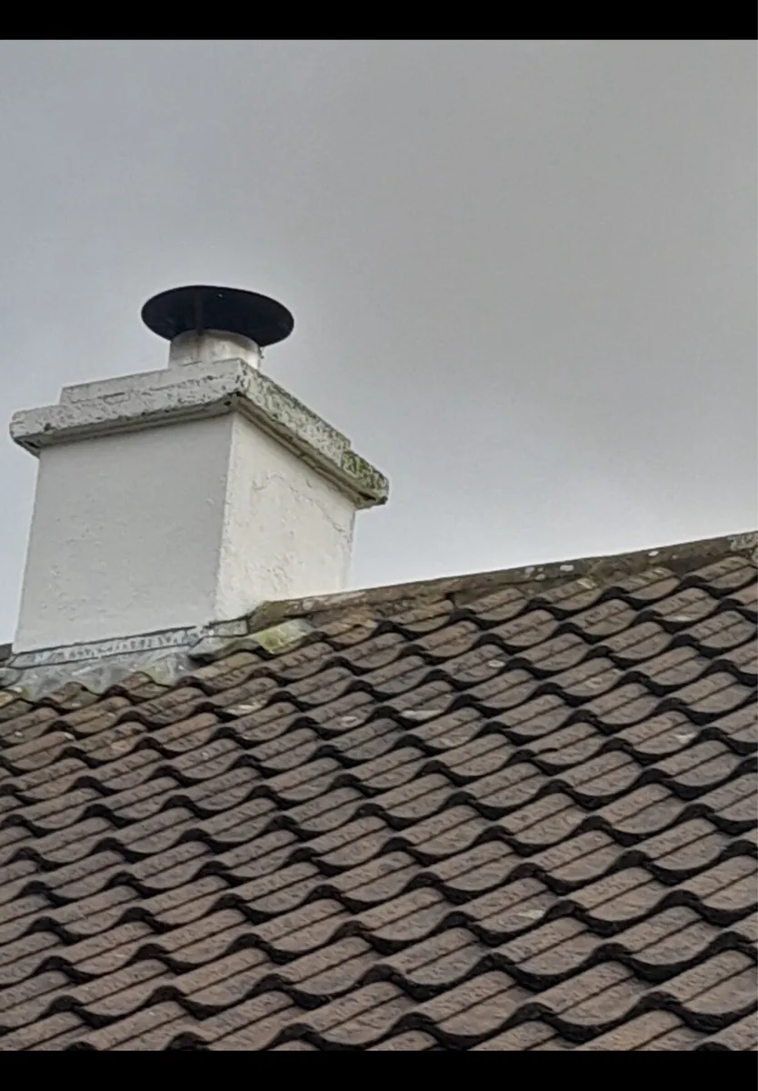 Roof tiles - Image 1