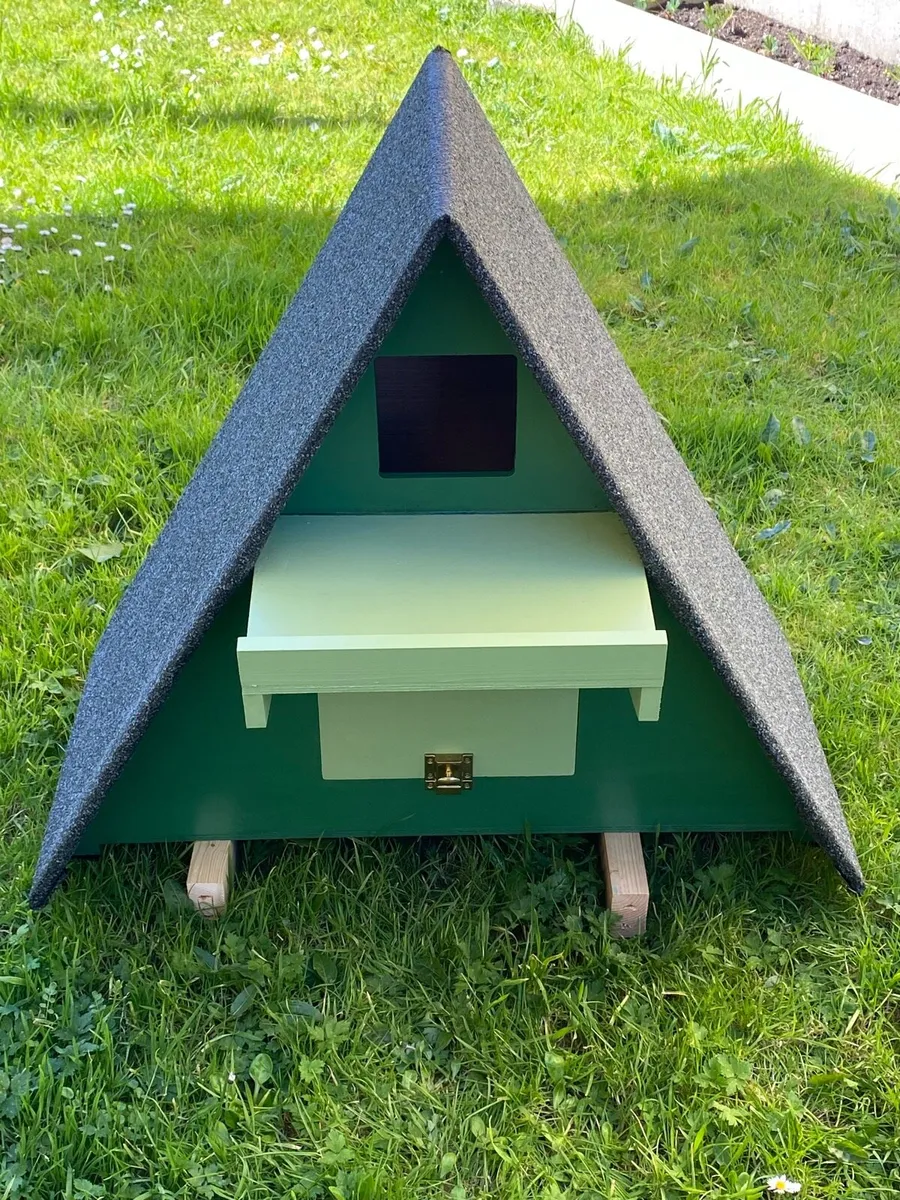 Owl box - Image 1
