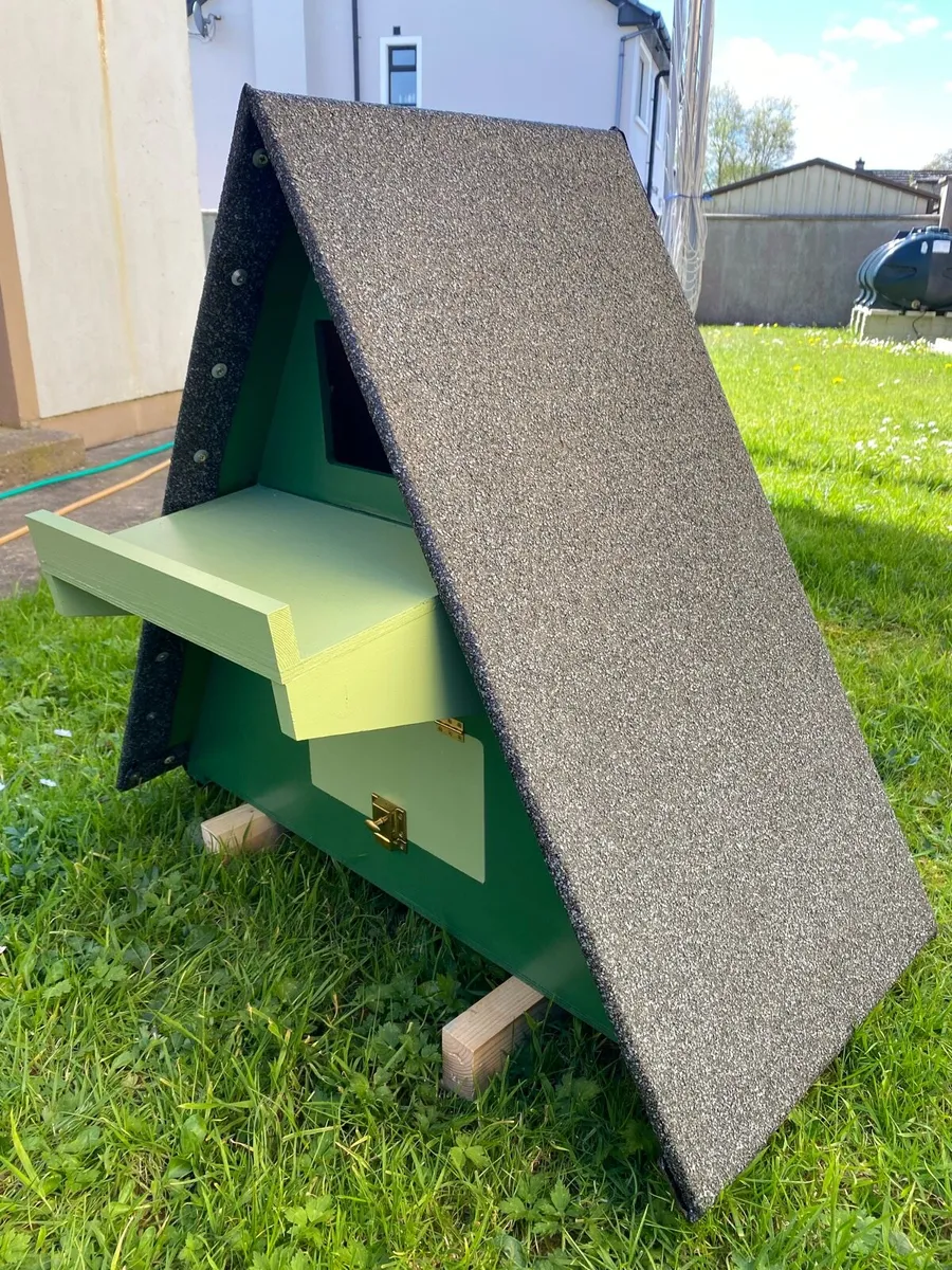Owl box - Image 2