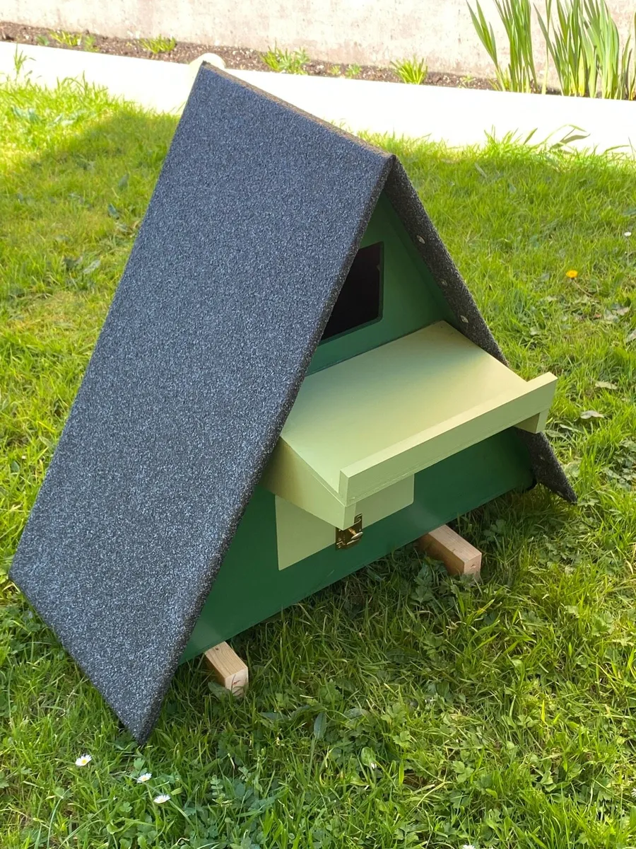 Owl box - Image 3