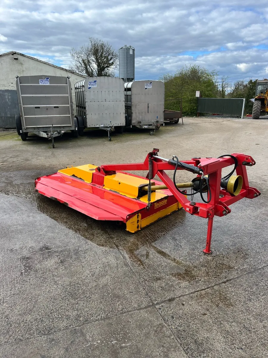 Teagle Topper - Image 1