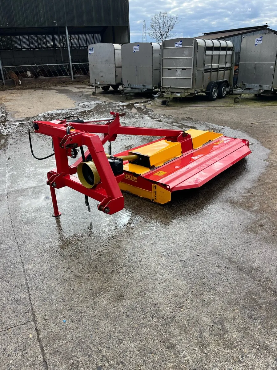 Teagle Topper - Image 2