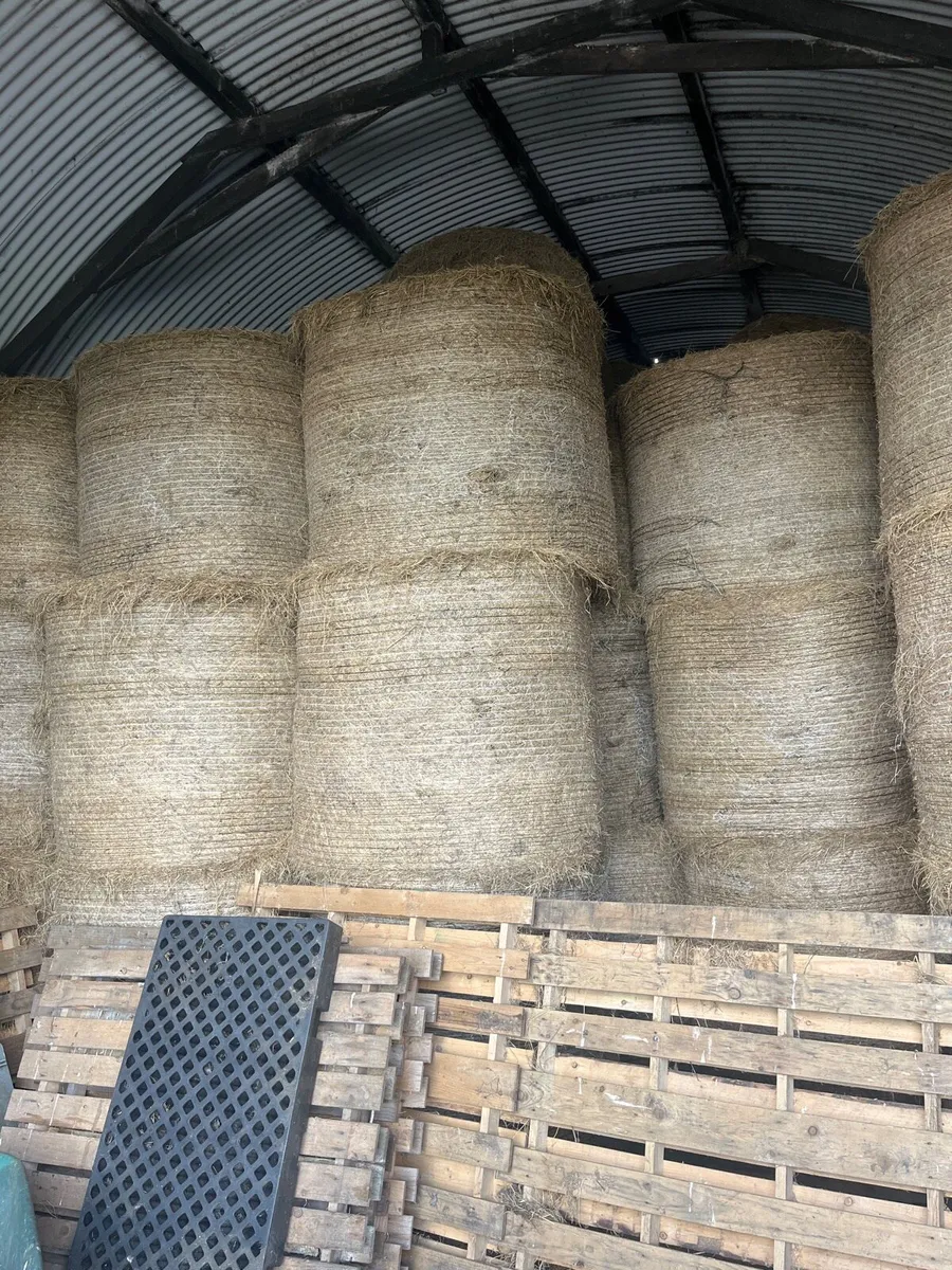 Hay for sale
