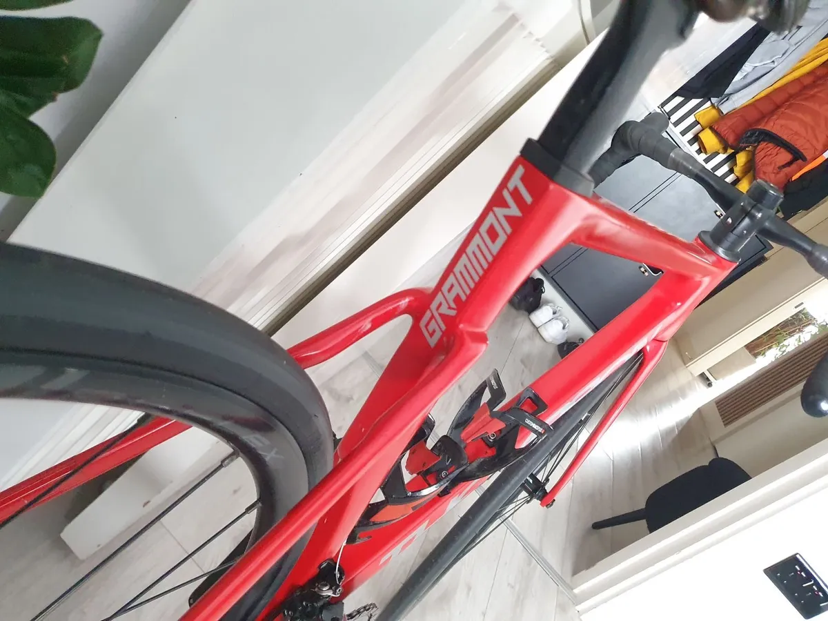 Thompson Grammont - Image 3