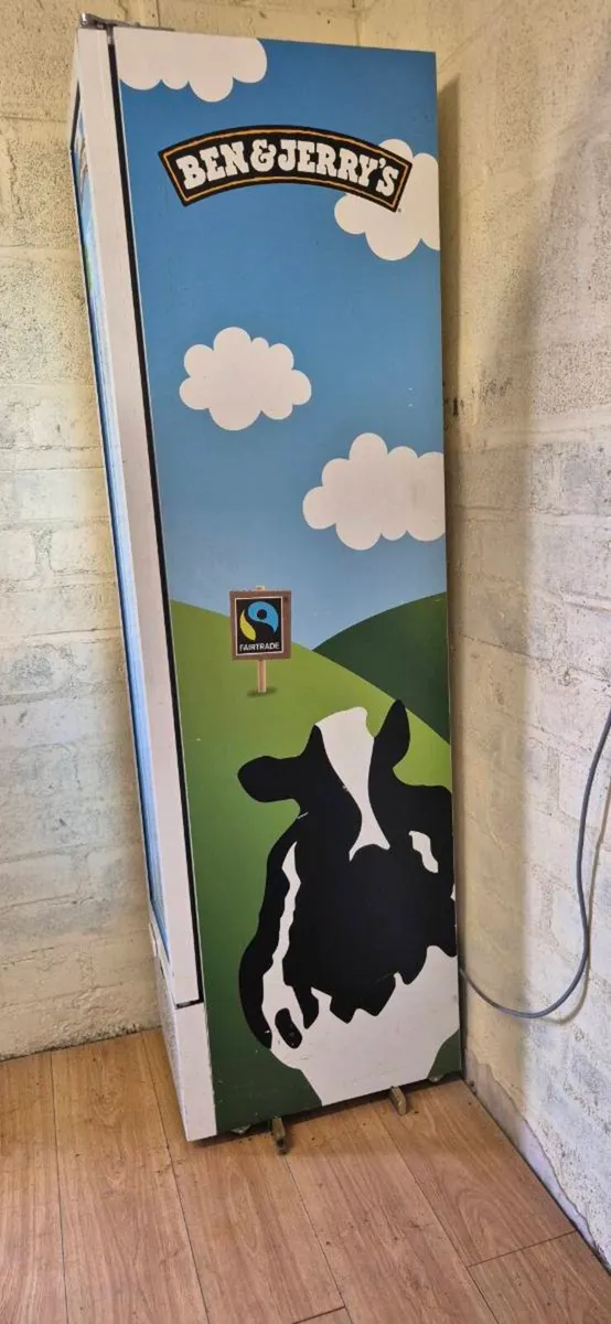 BEN & JERRY'S Freezer - Image 2