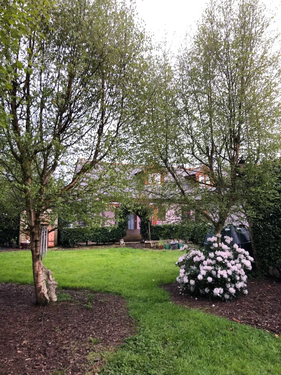 Rally Weekend Accommodation - Image 4