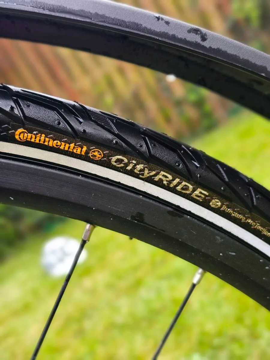 ​Liv Rove 2 (Giant) Women’s Hybrid Bike –Hydraulic - Image 4