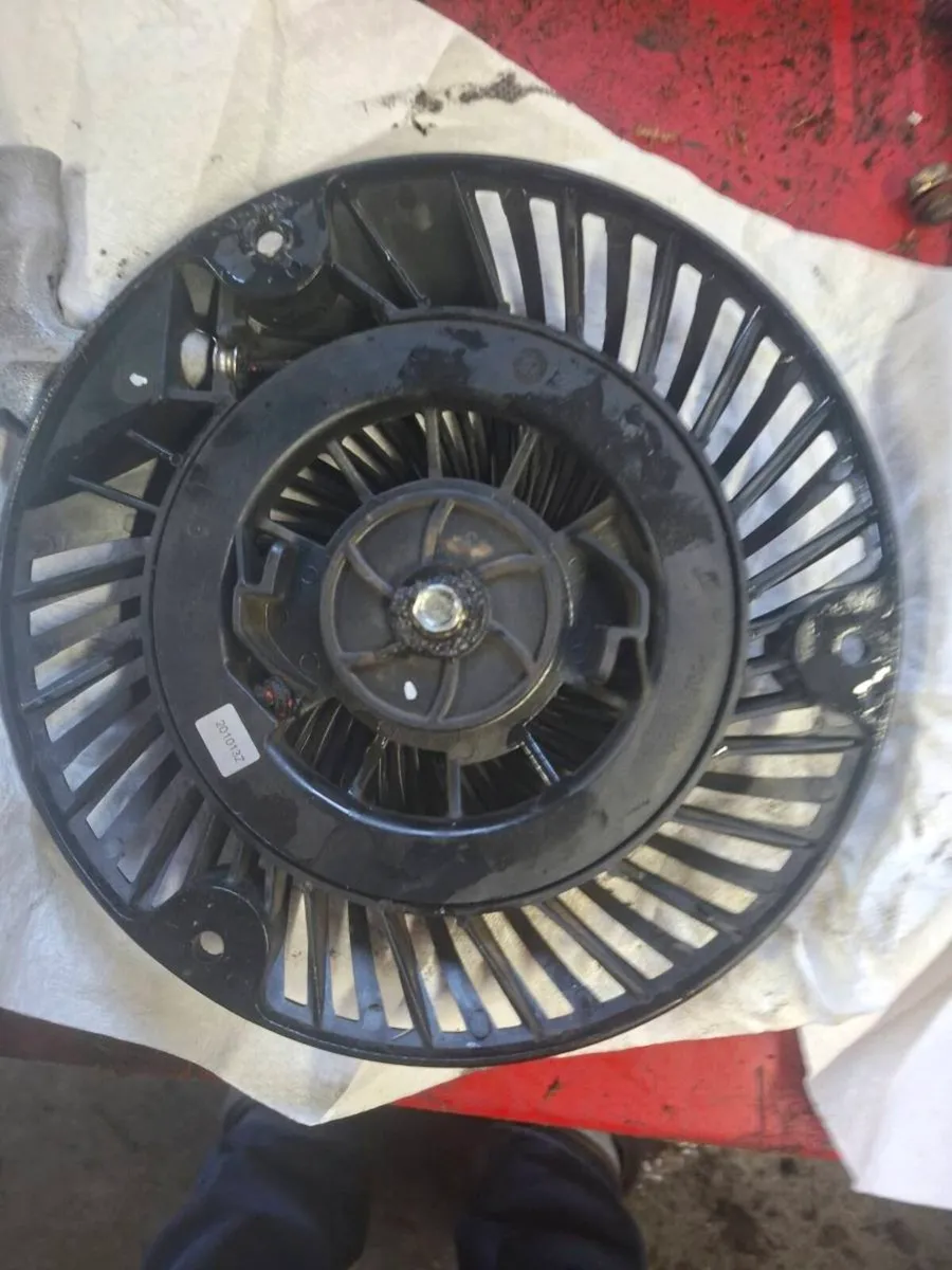 Briggs and  stratton  recoil starter
