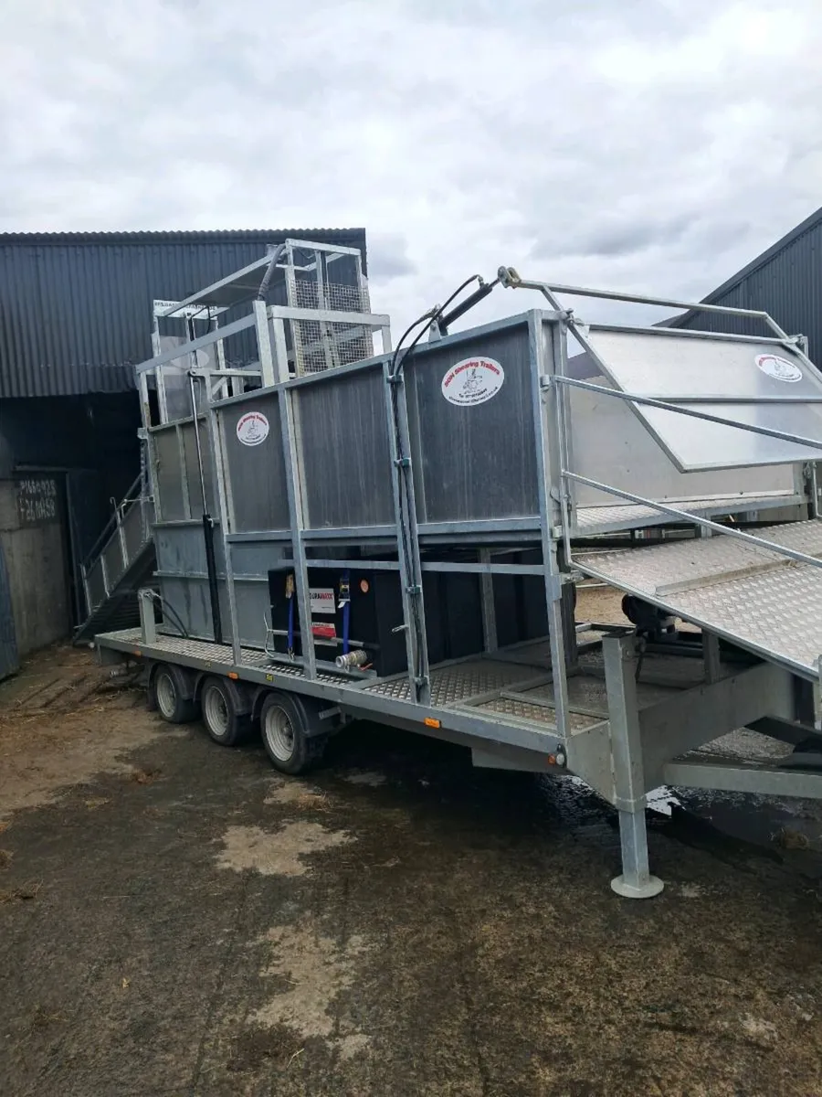 Sheep plunge dipping service - Image 3