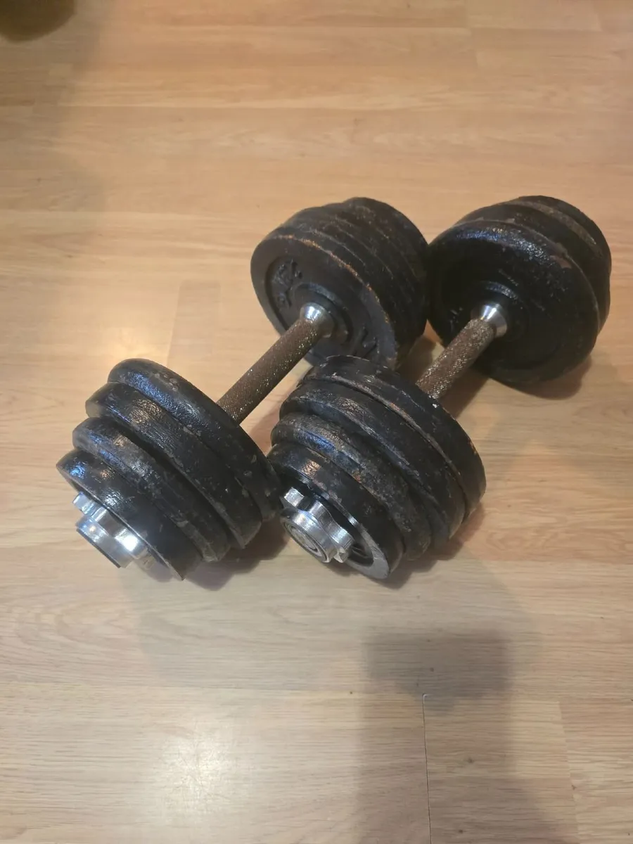 Dumbbells 2×17kg