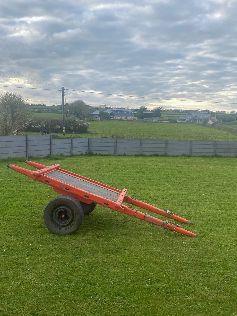 Donkeys car for sale - Image 1
