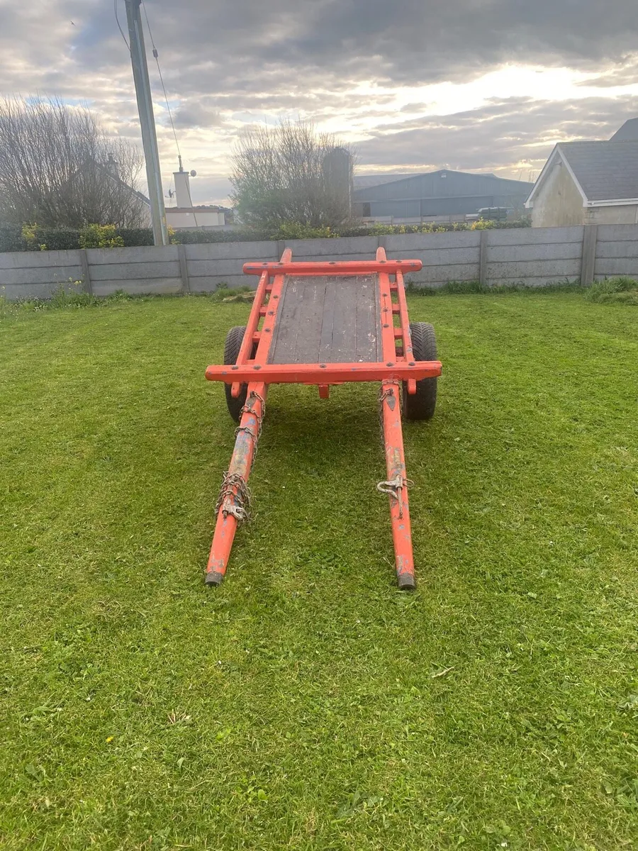 Donkeys car for sale - Image 2