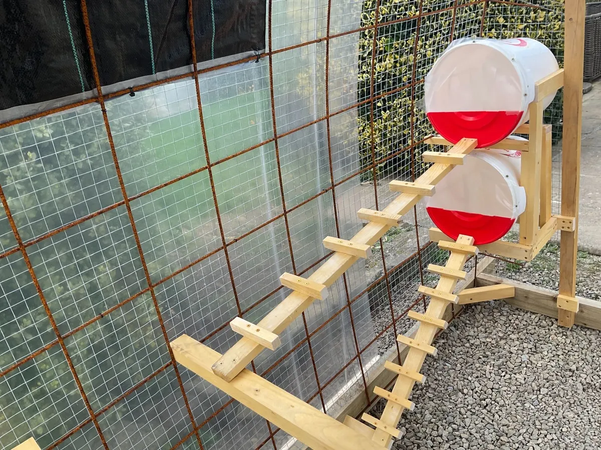 Chicken Coop Tractor - Image 4