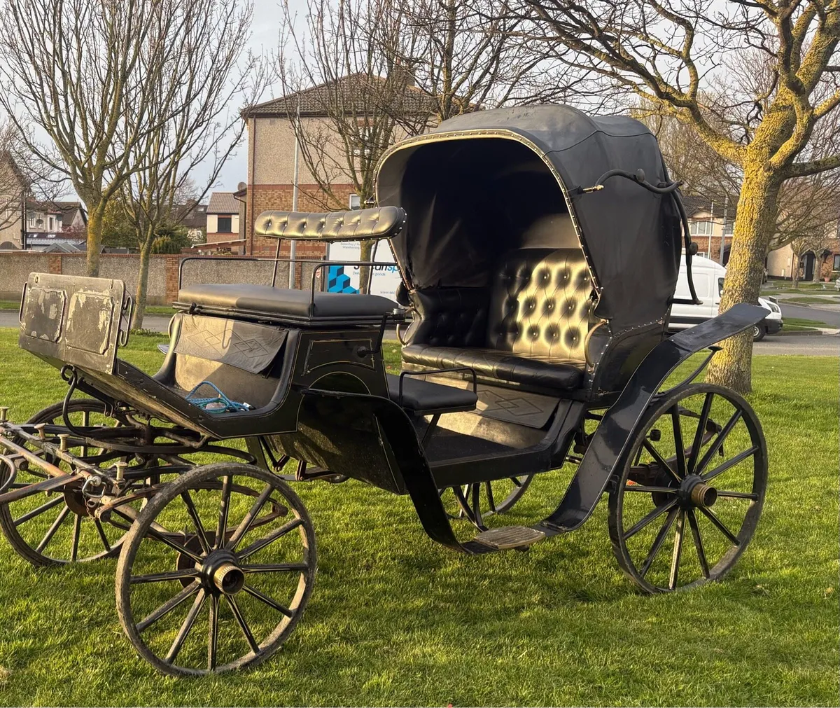 Horse Carriage - Image 1