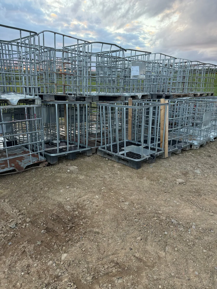 IBC Cages - Image 2