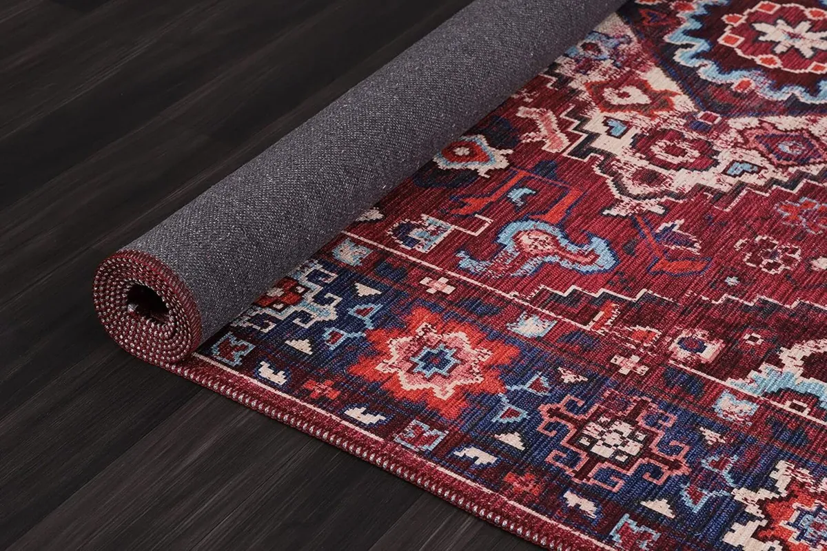Washable Area Rugs for Living Room Traditional - Image 4
