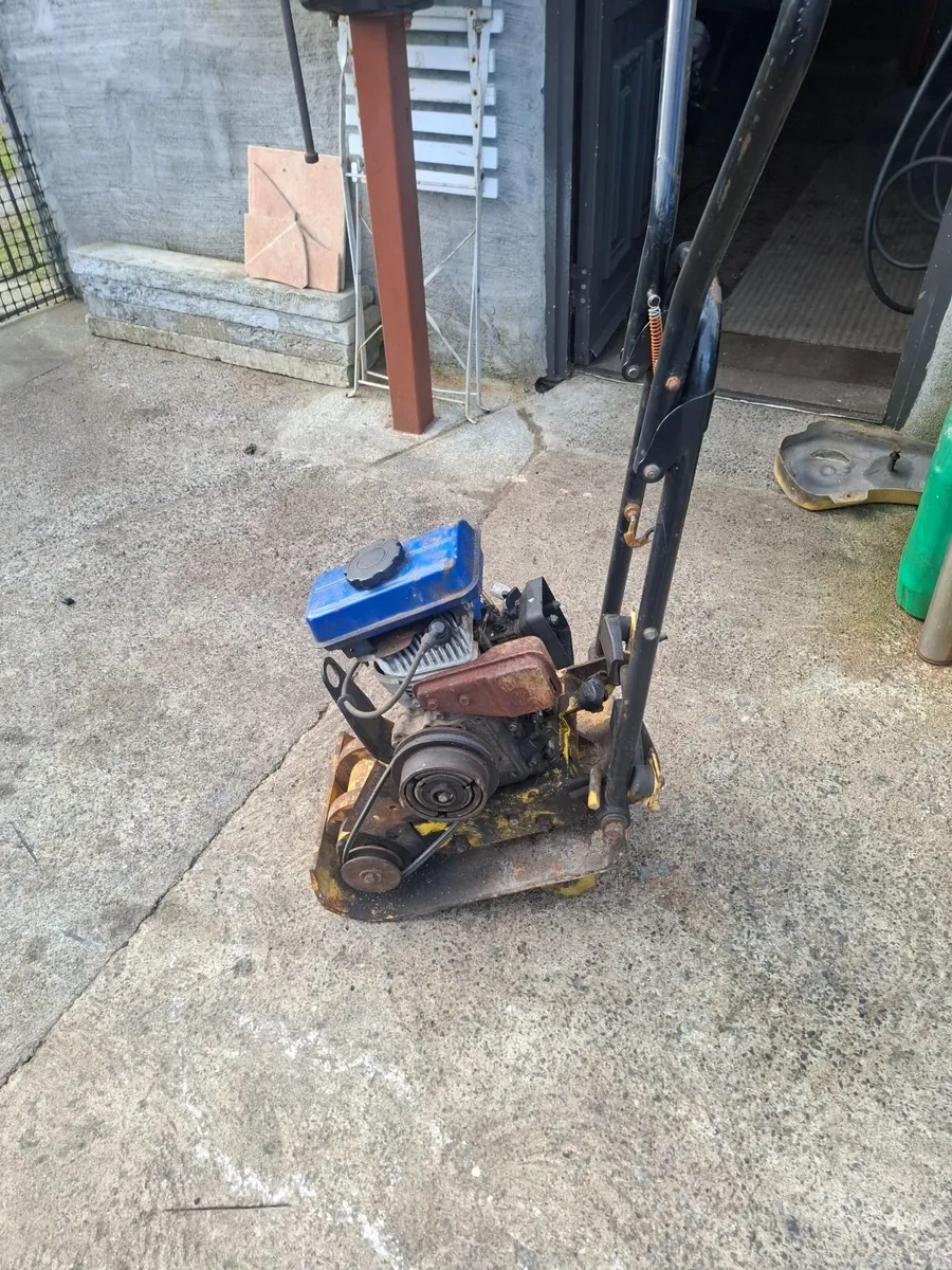 wacker plate and Tophandle Stihl. - Image 2