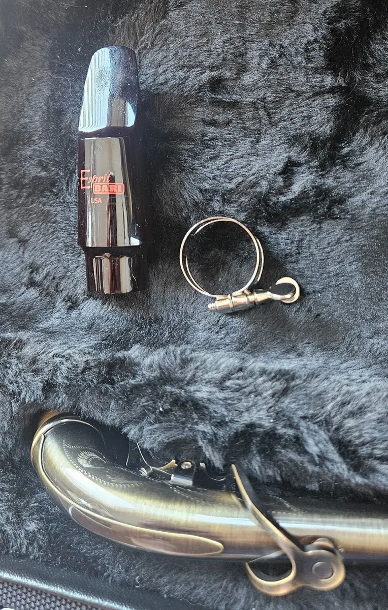 Alto saxophone - Image 2