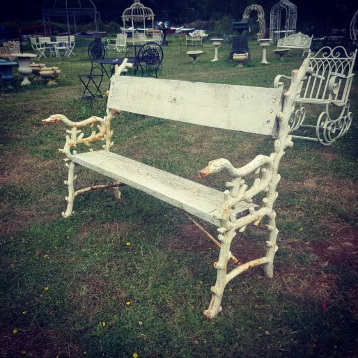 Bench Cast Iron and Timber Ornate Ends H23 - Image 3