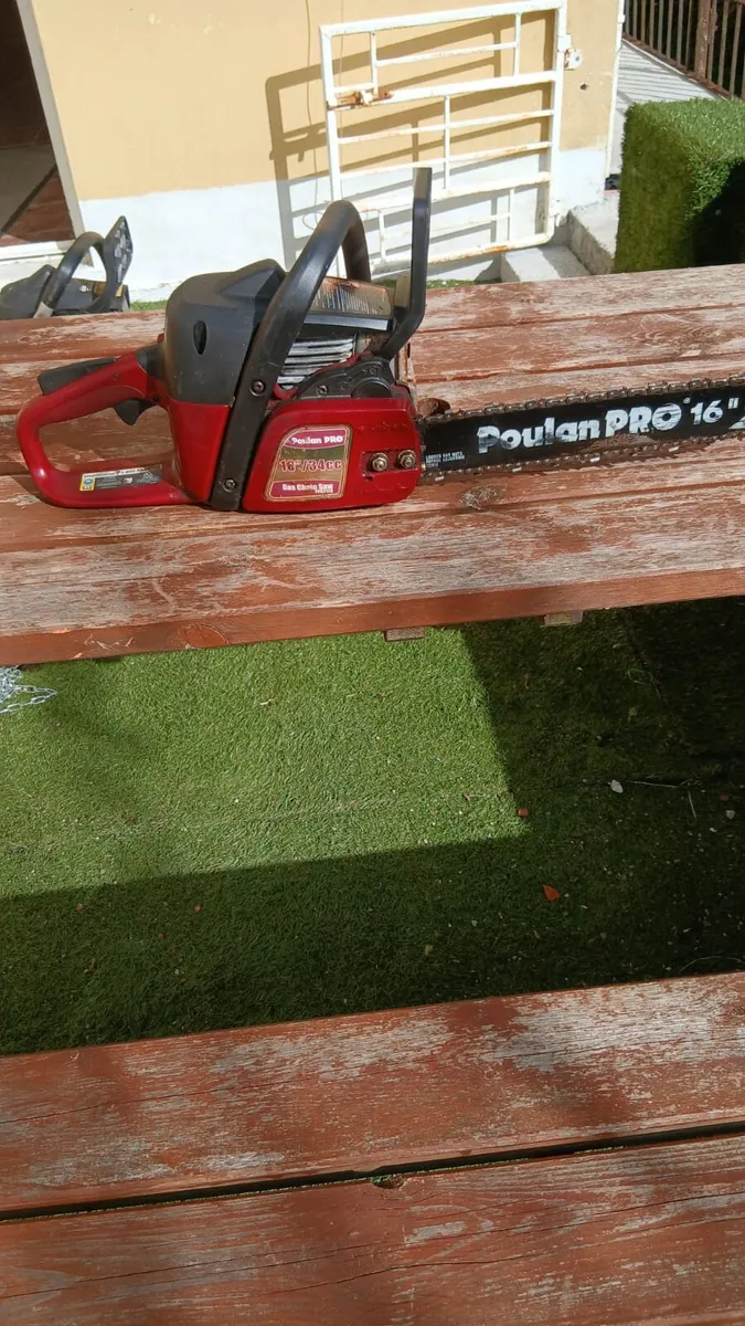 Petrol chainsaw