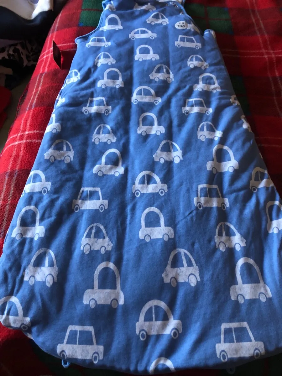 Boys sleeping bag 12/18 mths €6 - Image 1