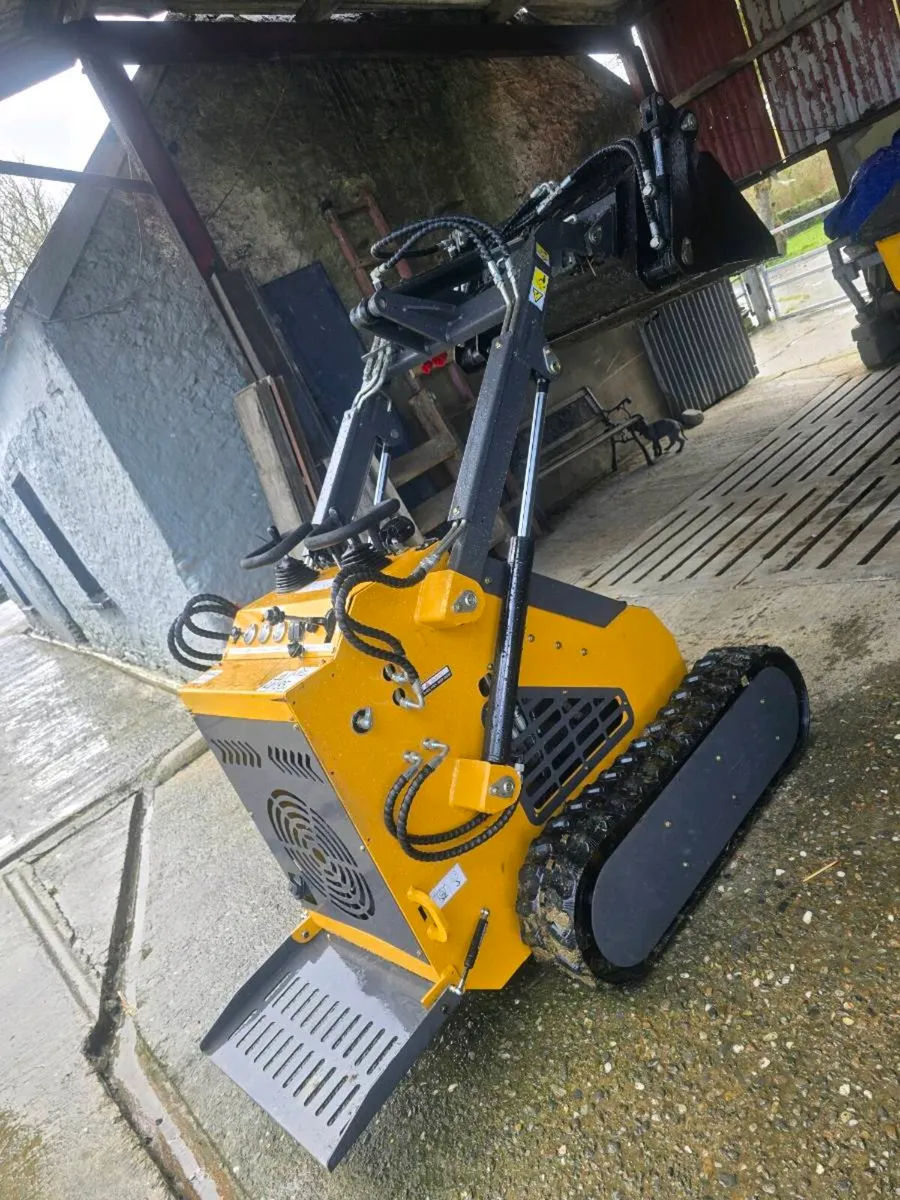 Skidsteer - Image 2