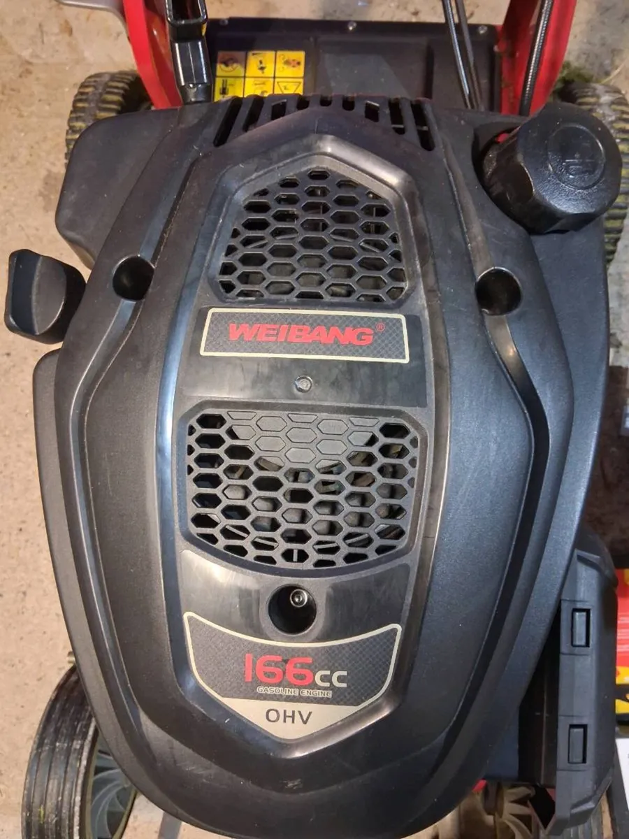 Mulcher lawnmower - Image 2