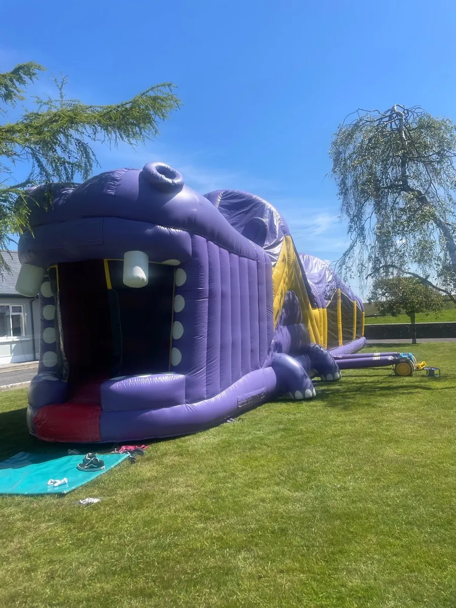 Bouncing castle hire - Image 2