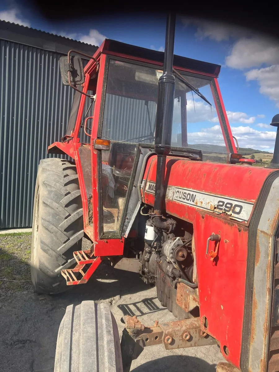 Massey Ferguson  290 - Image 2