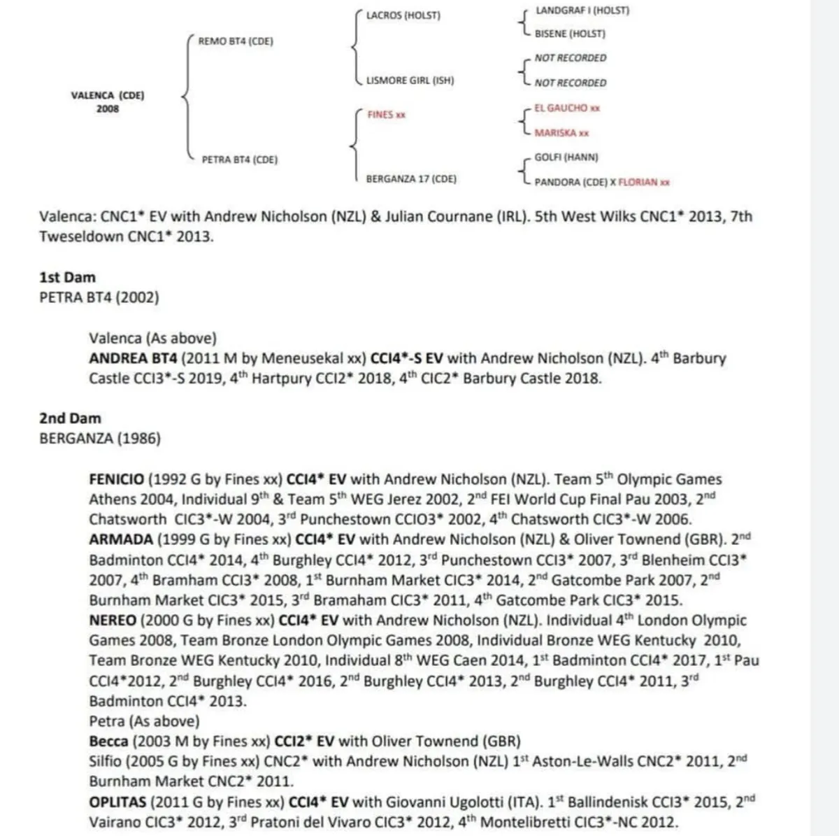 Top class eventing broodmare - Image 2