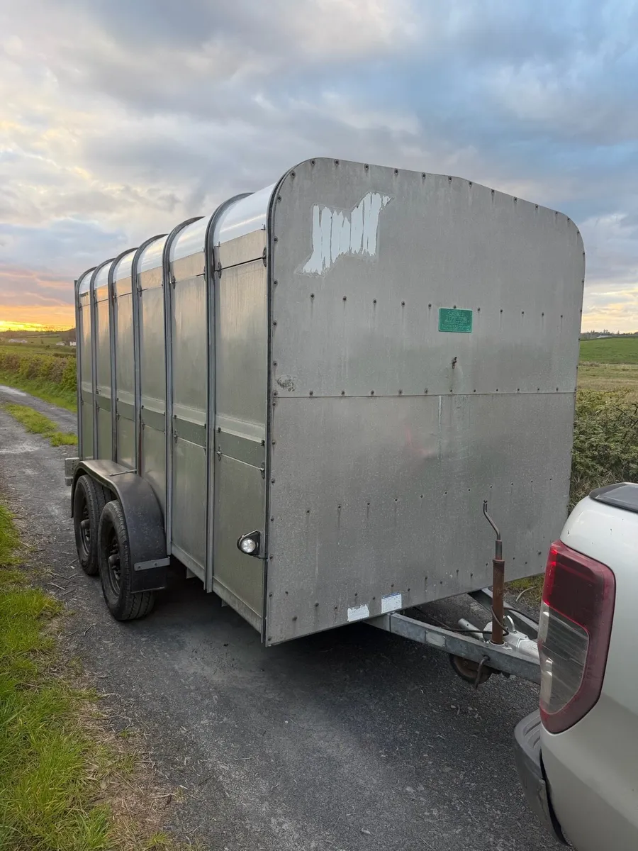 Ifor Williams 12x6 cattle box - Image 1