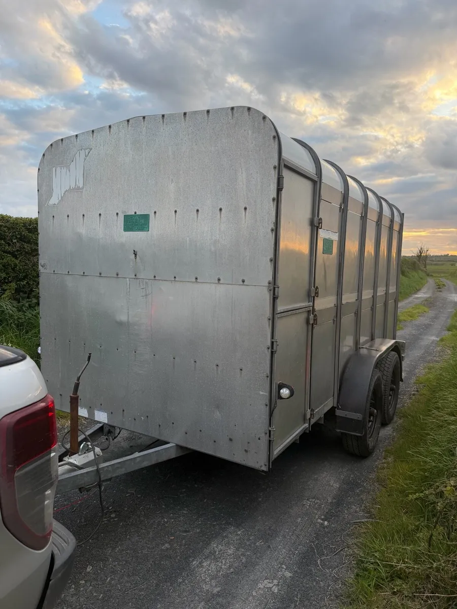 Ifor Williams 12x6 cattle box - Image 2