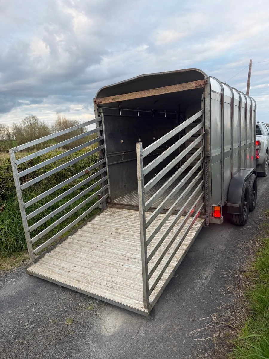 Ifor Williams 12x6 cattle box - Image 3