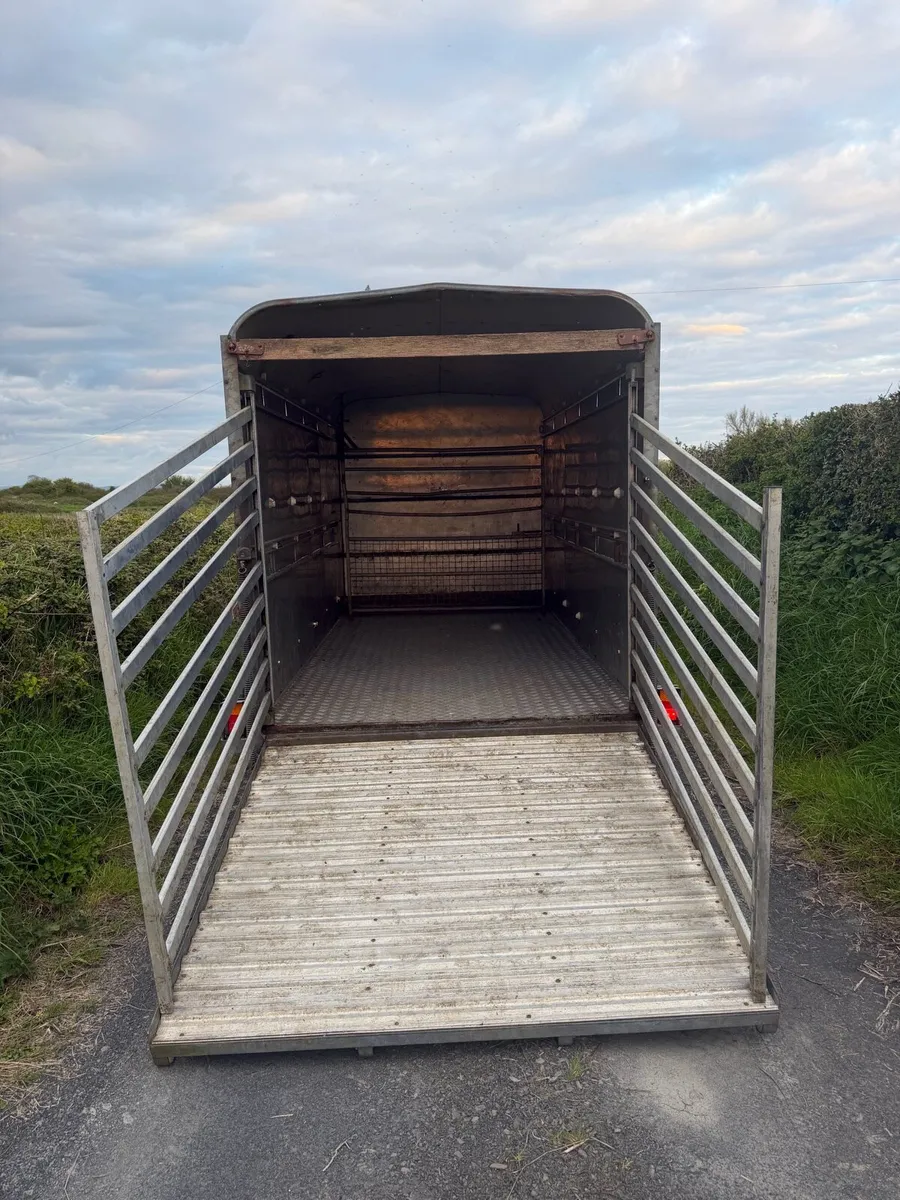 Ifor Williams 12x6 cattle box - Image 4