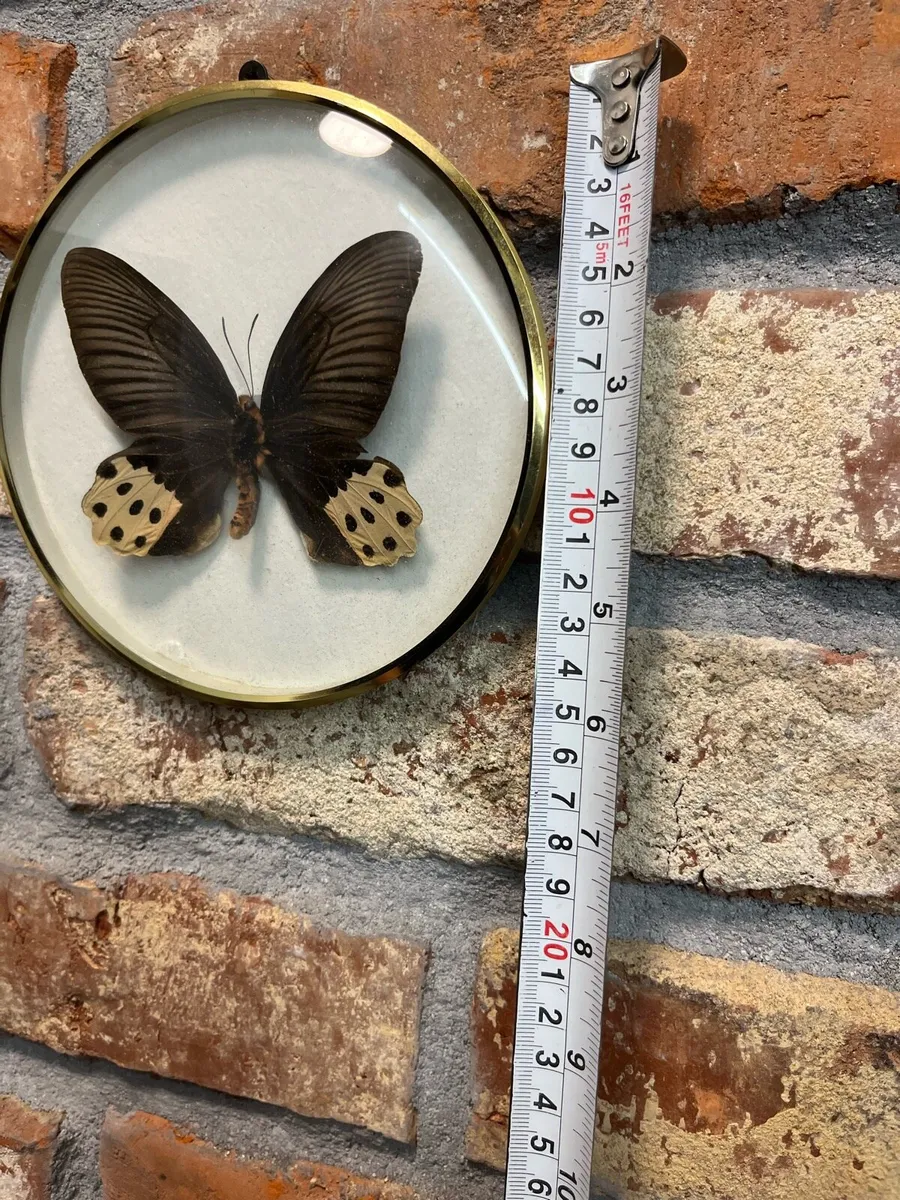 Natural decoration - Image 3