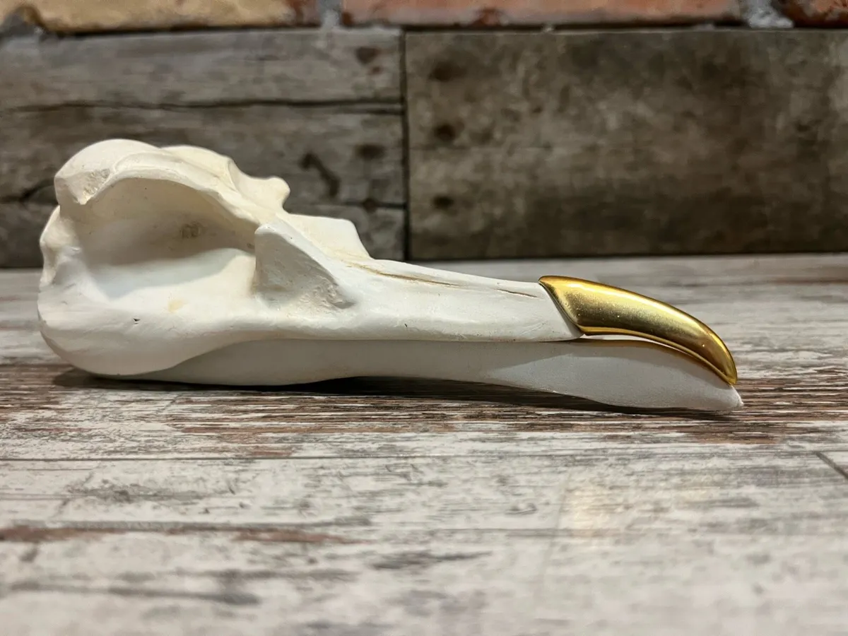 Decoration - Image 1