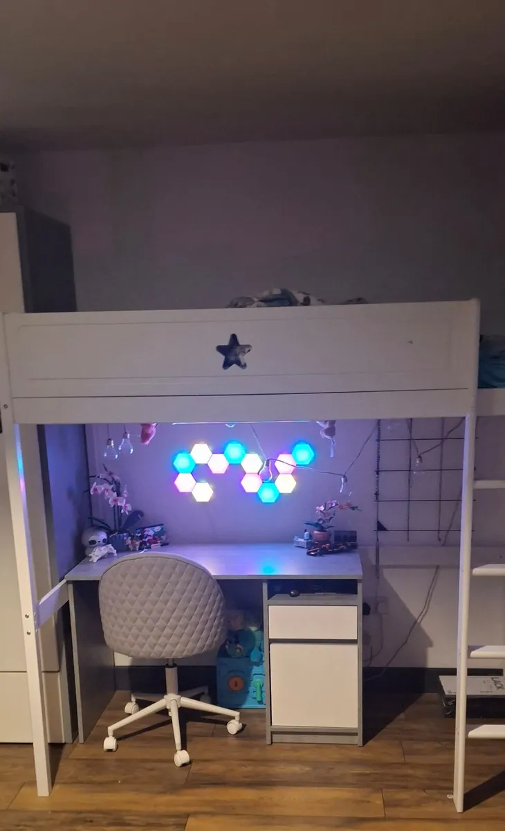 Kids Single Bunk Bed 6+ - Image 2