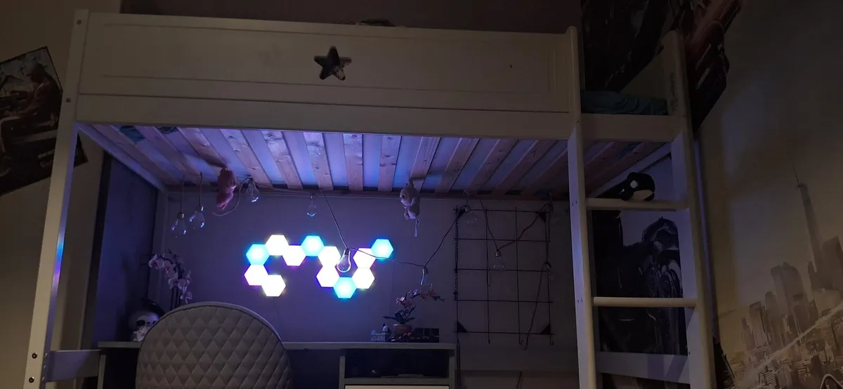 Kids Single Bunk Bed 6+ - Image 3