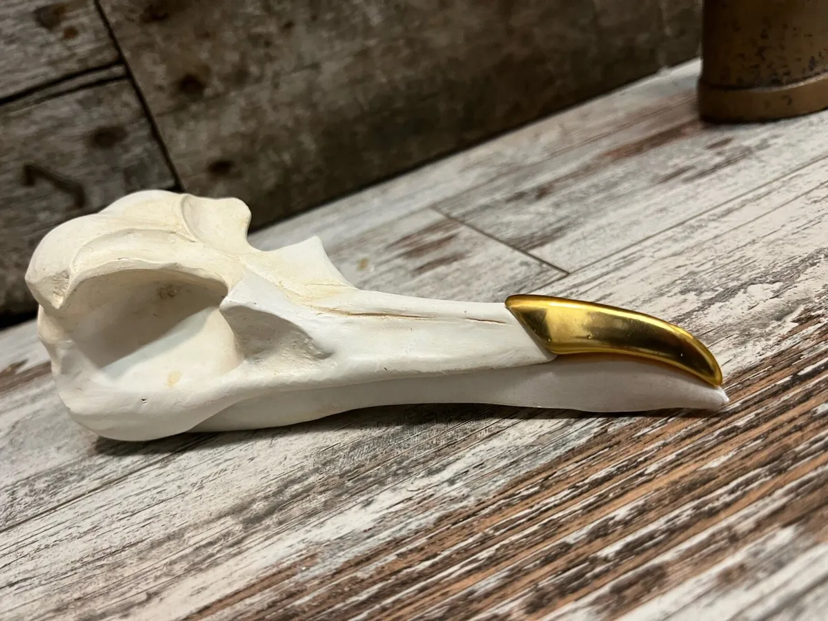 Decoration - Image 3