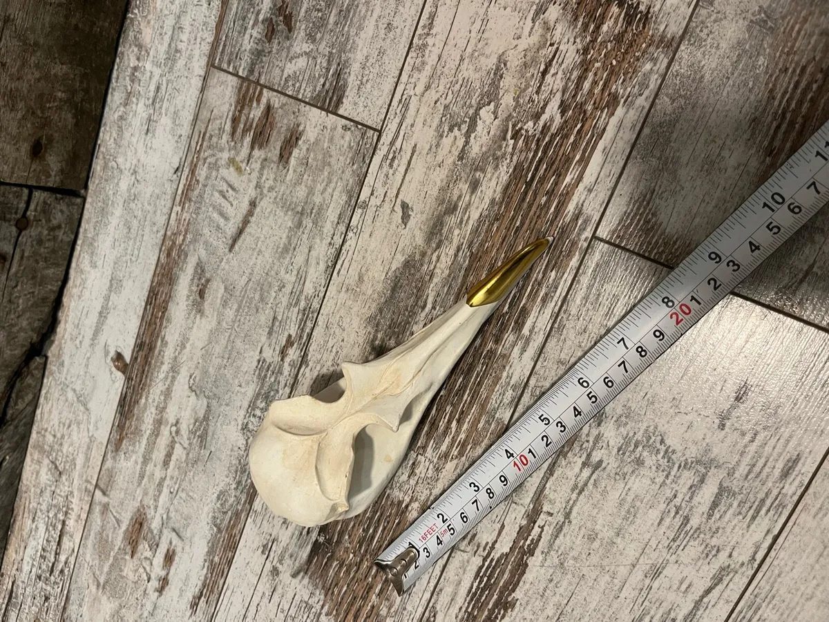 Decoration - Image 4