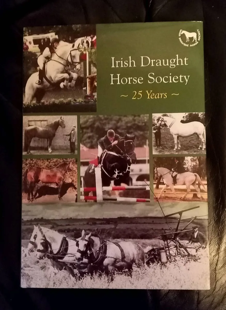 Various Books €20 Each - Image 4