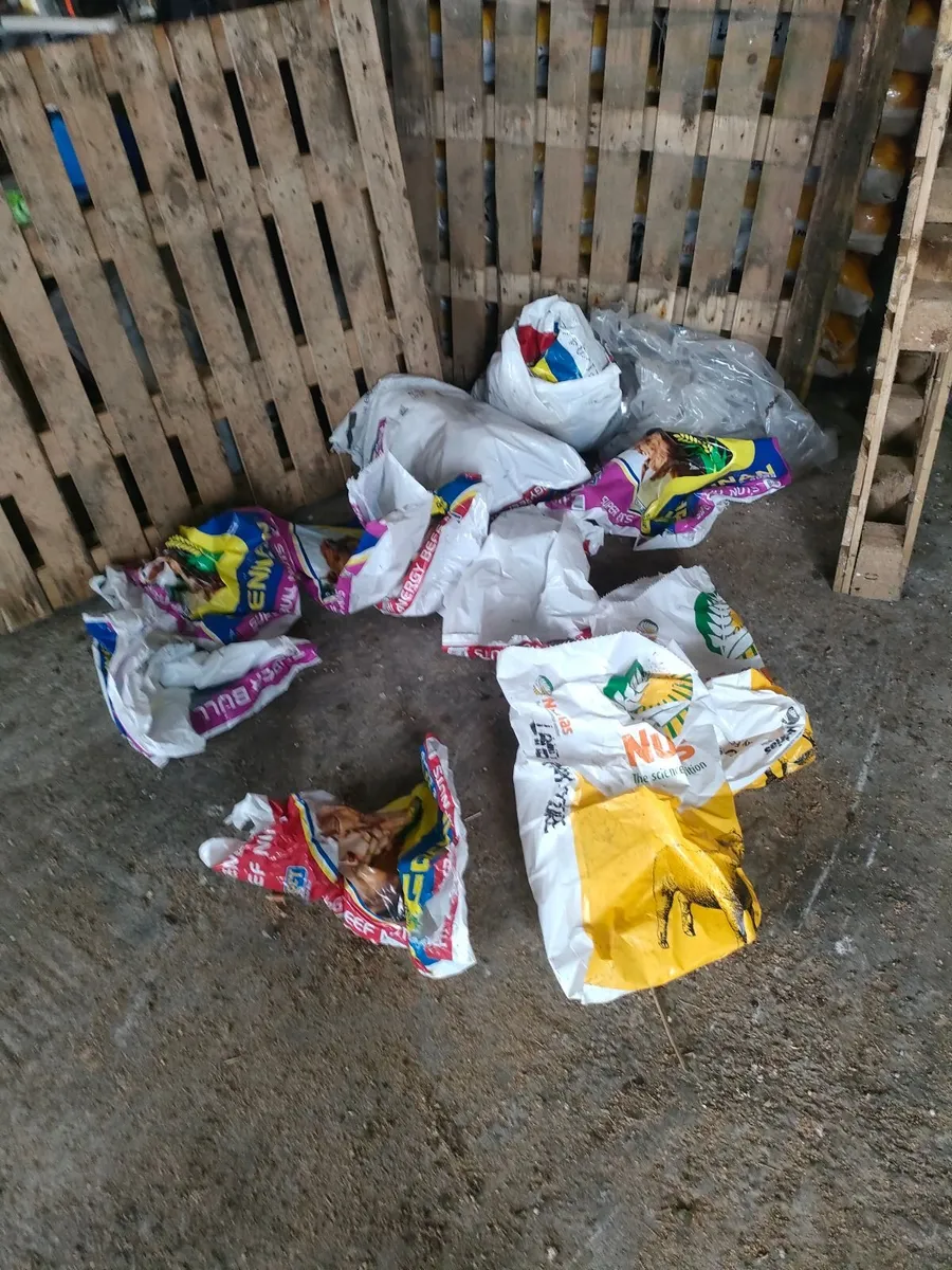 Rebag Stand - Image 1