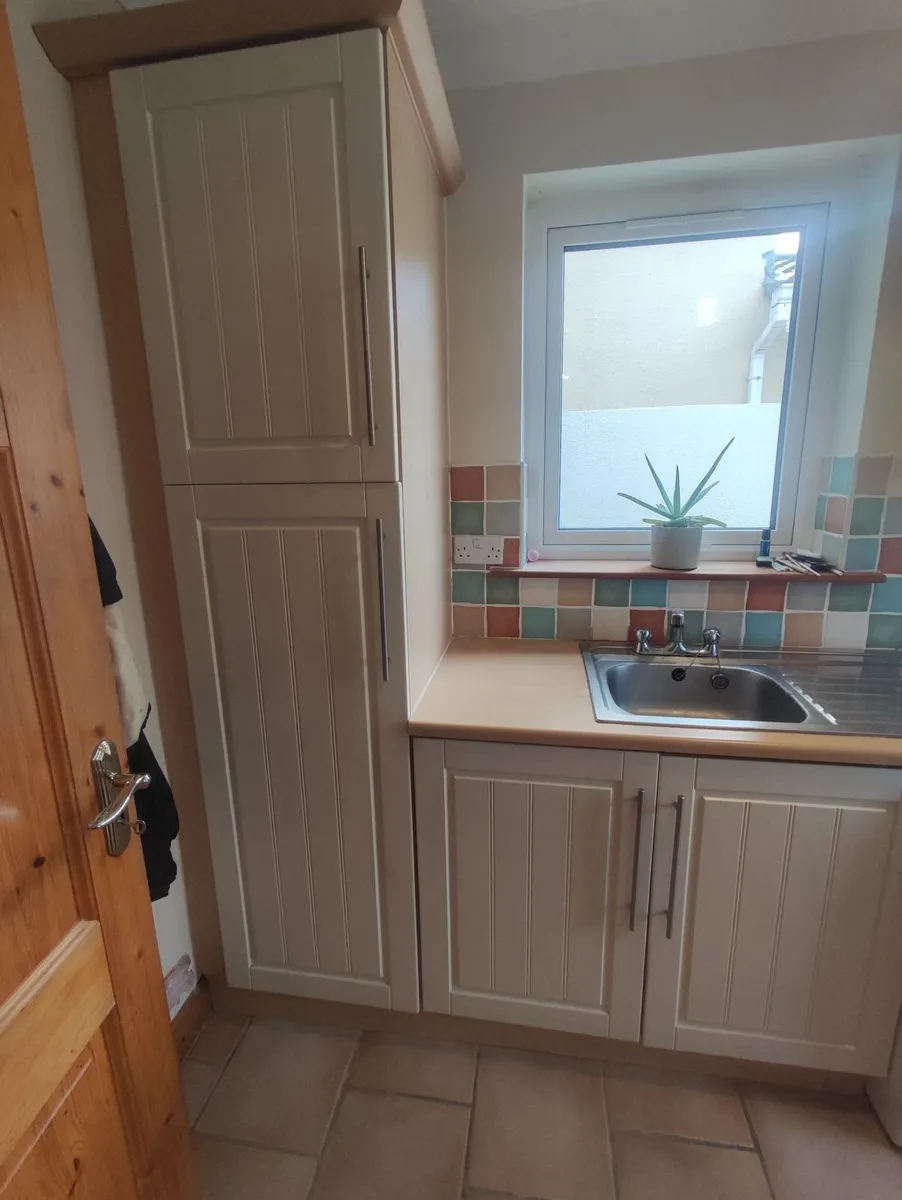 Kitchen and Utility Presses - Image 4