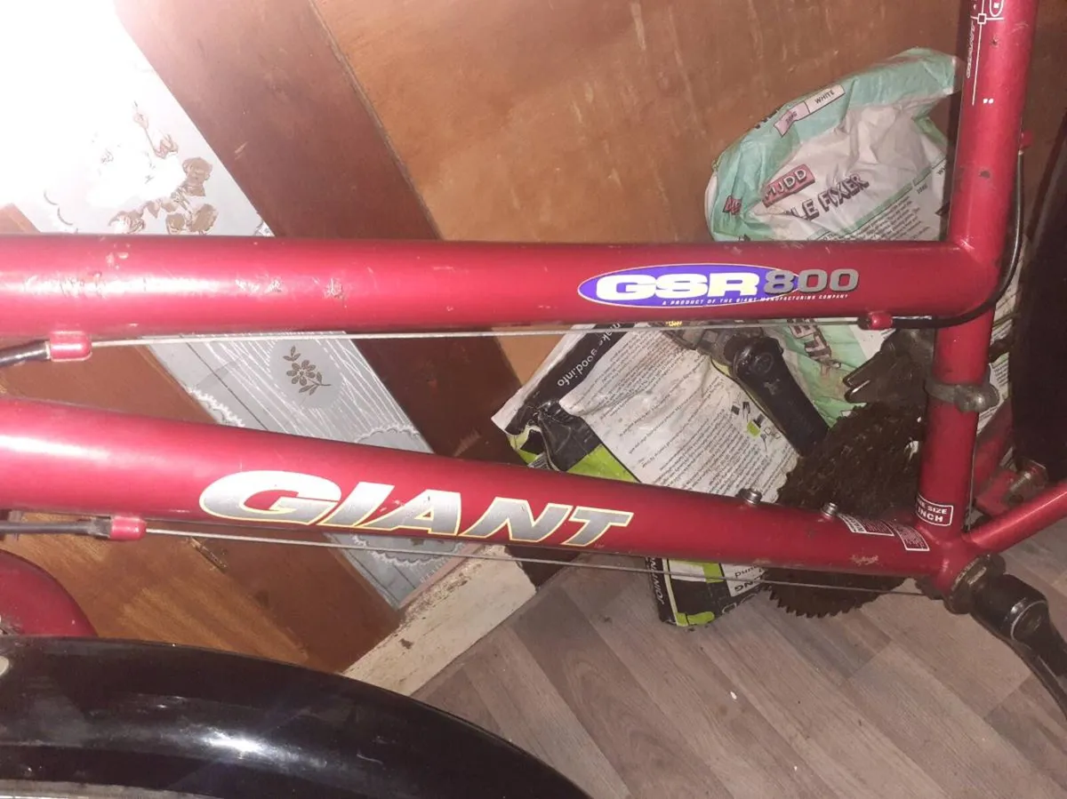 Ladies bike - Image 2