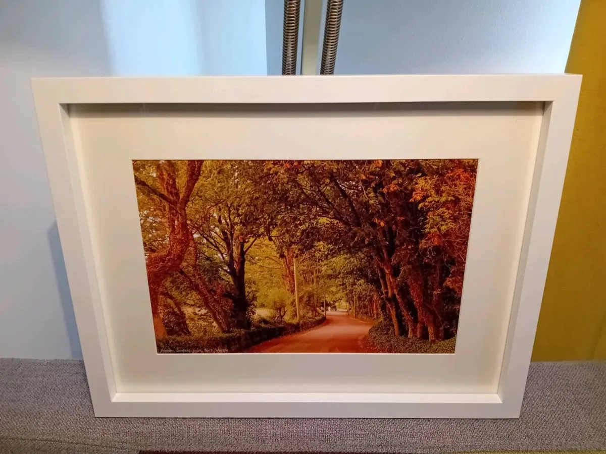 Ballintubber, Carrigtwohill - Image 4