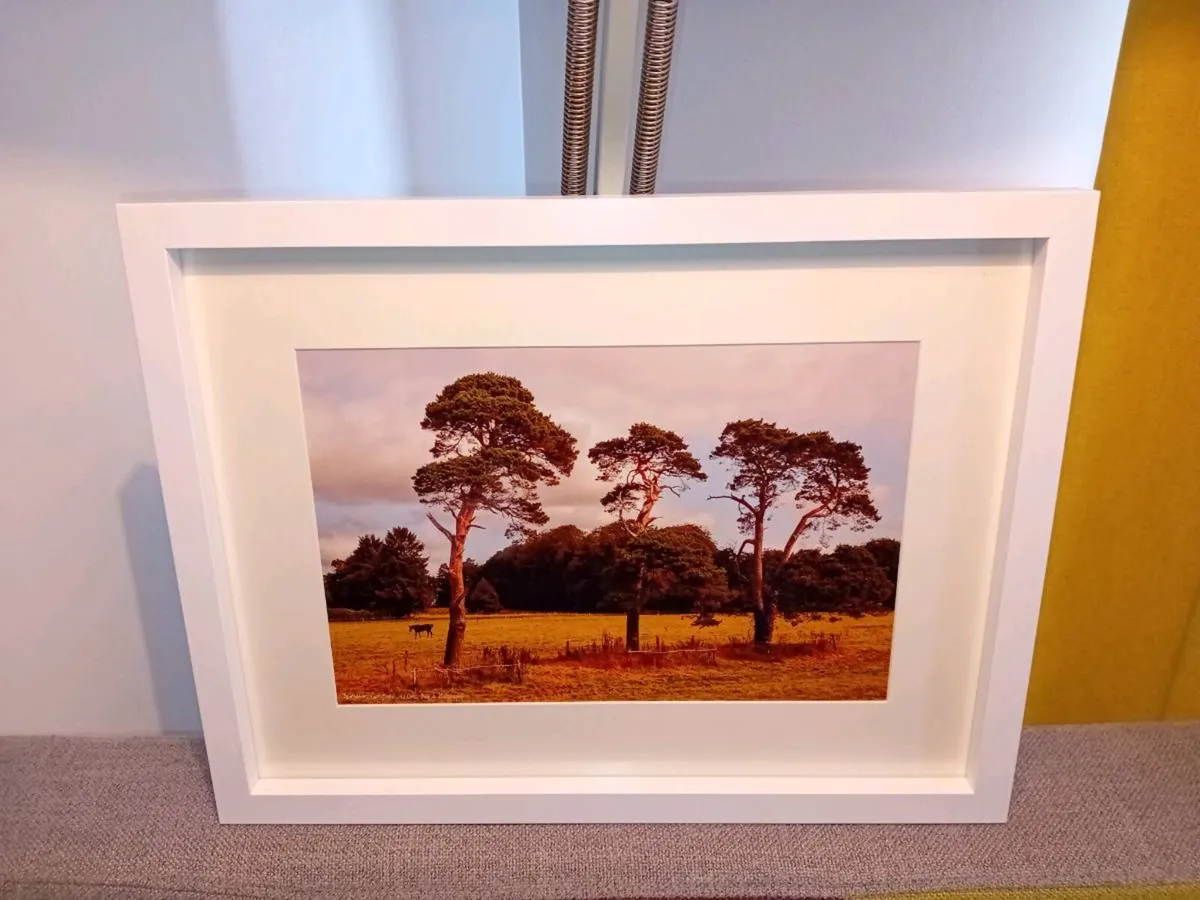 Ballintubber, Carrigtwohill - Image 2