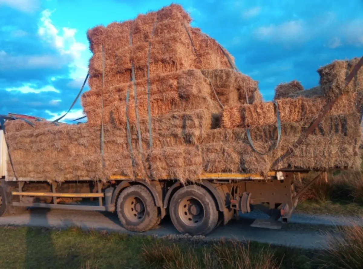 Small Square bales of Hay & Straw for sale
